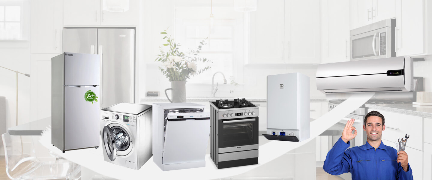 Altıevler Dyson Servisi